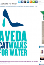 Aveda My Fat Pocket